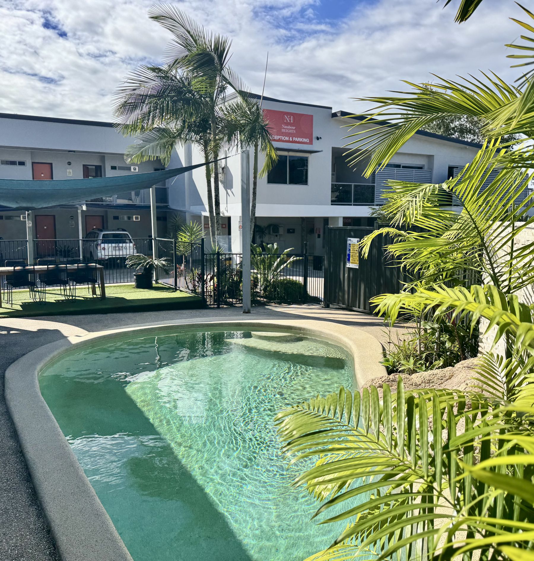 Palm-fringed outdoor swimming pool
